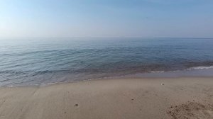 Янтарный. Море. Лебеди.