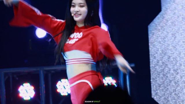 181110 다이아 솜이 듣고싶어 - 대만 PChome 직캠 смотреть онлайн