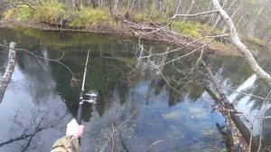 Рыбалка на таёжной речке. Крупный хариус.