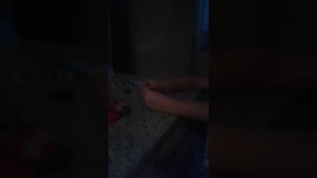 Ниндзяго Тернер смотреть онлайн