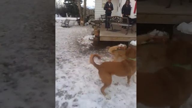 Radar's vacation spots смотреть онлайн