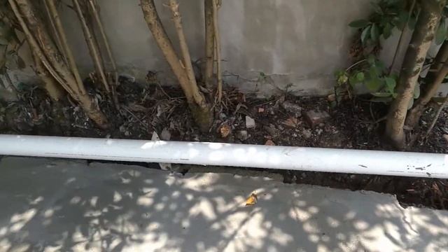 150 Tons Integrated Domestic Wastewater Treatment Equipment for School смотреть онлайн