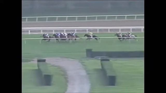 Arlington Million 1997 -  Marlin