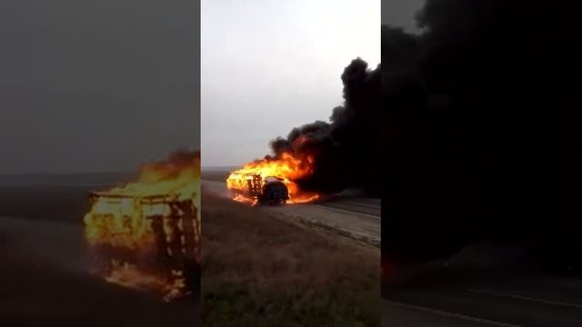 Крысы самовозгараются смотреть онлайн