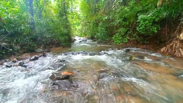 Tambdi Surla Waterfall ||  Tambdi Surla Mahadev Temple #TambdiSurla #Beyondhometown