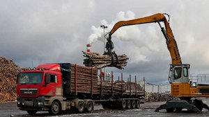 Путин отметил хорошие перспективы российской лесной промышленности