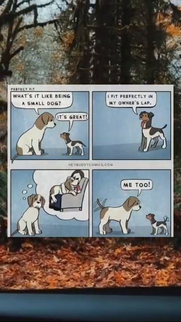 "Naw :) |#comic #happymemes曆 #happymemesforsadteens #happiness #happydoggie #doglo... смотреть онлайн