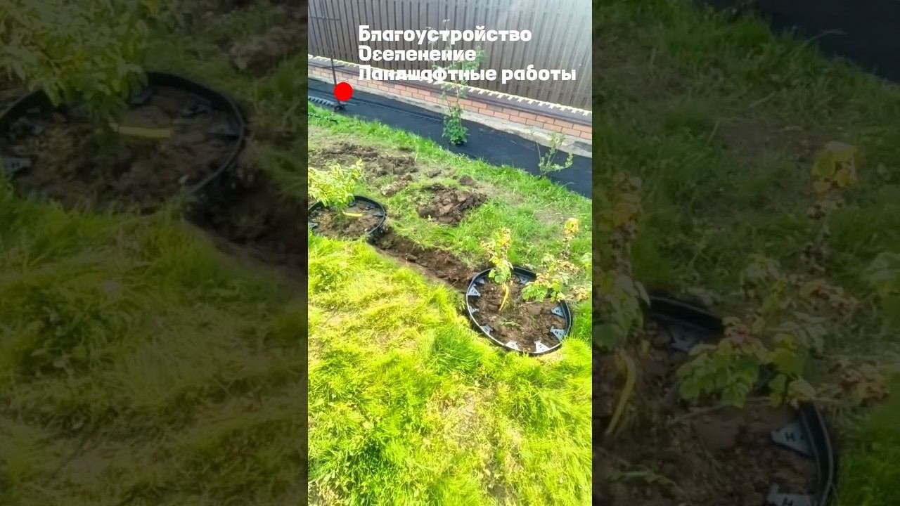 Озеленение участка, ландшафтные работы.