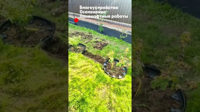 Озеленение участка, ландшафтные работы.