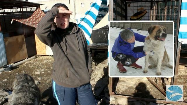 Еженедельник фонда (от 13.1.15) смотреть онлайн