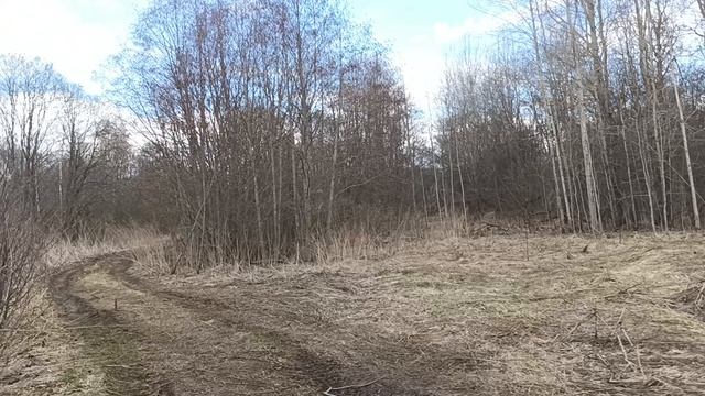 Последний холод, первое тепло: граница времён года
