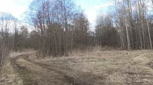 Последний холод, первое тепло: граница времён года