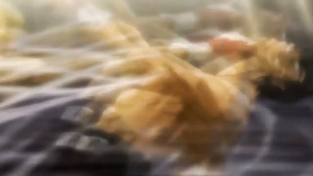 [AkuzOamv] - Track 5 MEP RGS смотреть онлайн