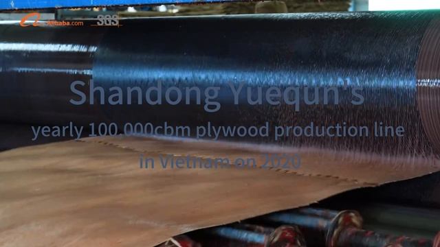 show you our yearly 100,000cbm production line in Vietnam on 2020
