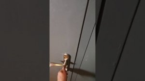 1000036773.mp4