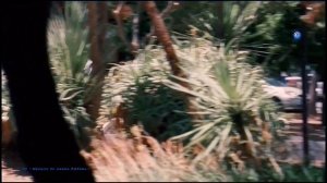 Umar Keyn - Fix My Soul /Version/..