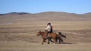 Жороо хүрэн Биндэр