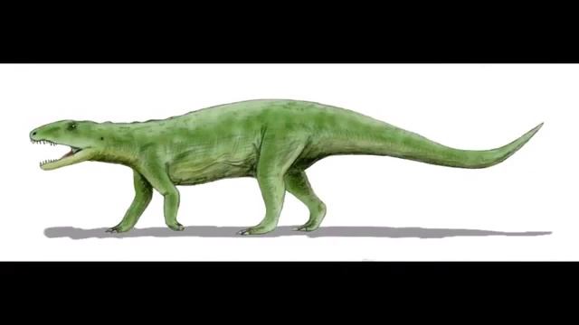 Poposaurus смотреть онлайн
