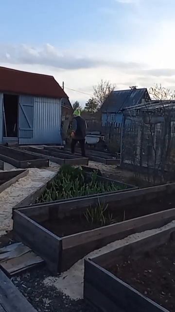 Надо проконсультироваться с ветеринаром