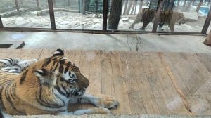 Сафари~парк. Геленджик