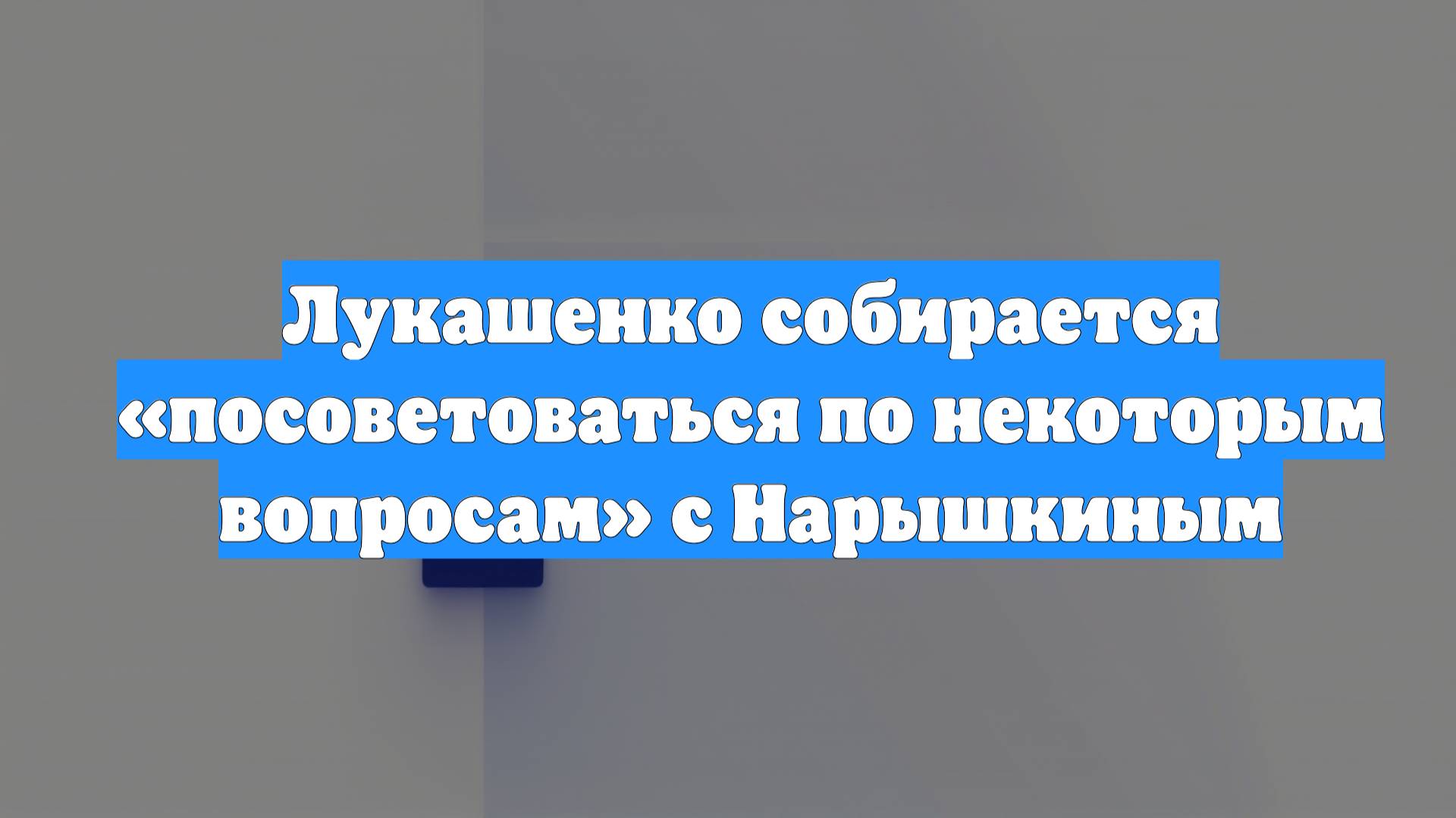 Лукашенко собирается «посоветоваться по некоторым вопросам» с Нарышкиным