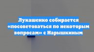 Лукашенко собирается «посоветоваться по некоторым вопросам» с Нарышкиным
