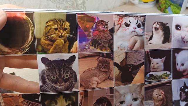 Наклейки Смешные Котки. 2024
