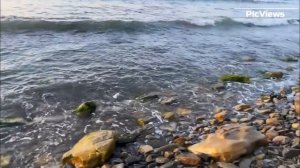 Выбросы мазута на пляжи Анапы продолжаются! Погода и море в Анапе перед сезоном 2025