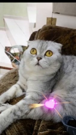 Нет проблем