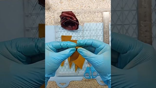 Розы из пастилы. #розаизпастилы#пастила#пастилабезсахара смотреть онлайн