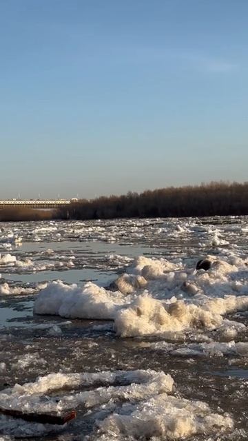 Эффектный ледоход в Омске. Апрель, 2025.