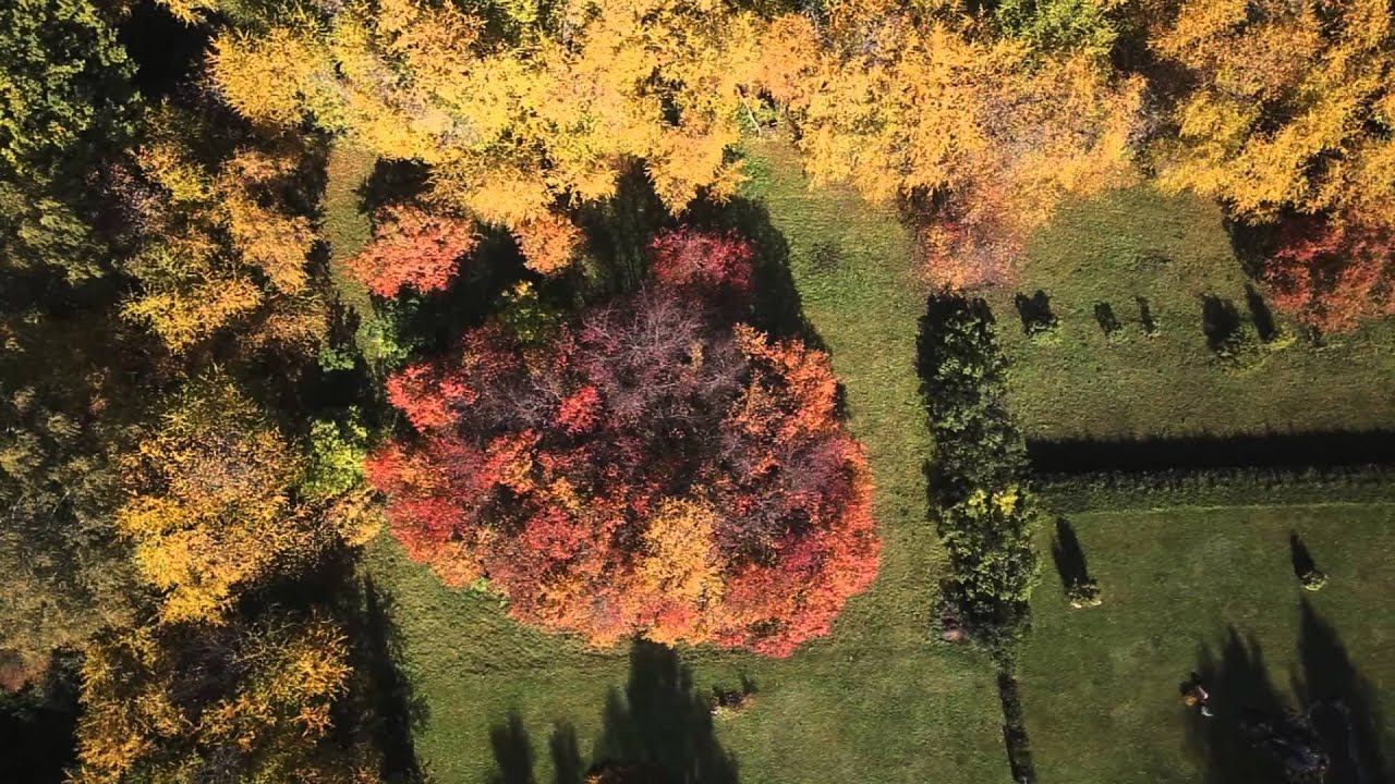 Дендрарий. Казань смотреть онлайн