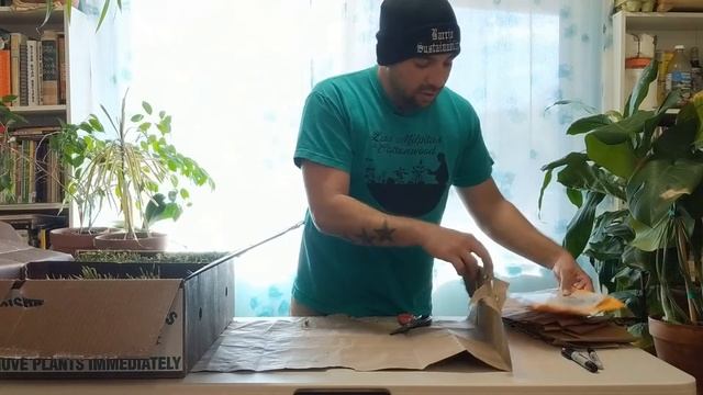 Growing Onions in Arizona: How to Grow Bulb Onions смотреть онлайн