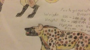 Epicyon Haydeni & Pachycrocuta Brevirostris !