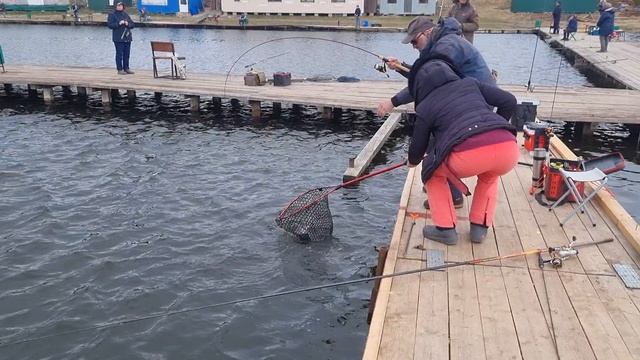 15-04-2025 смотреть онлайн