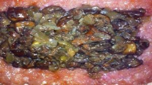 Мясные рулетики с лесными грибами и луком