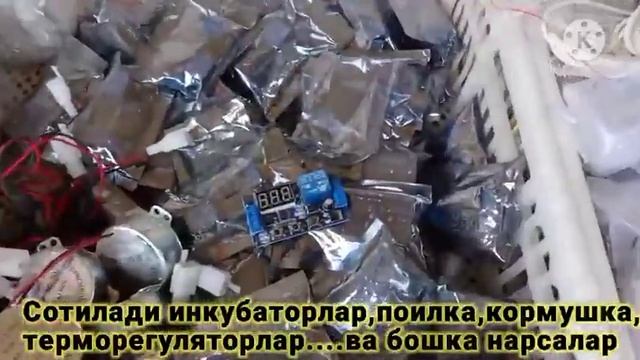 Инкубатор 2020 смотреть онлайн