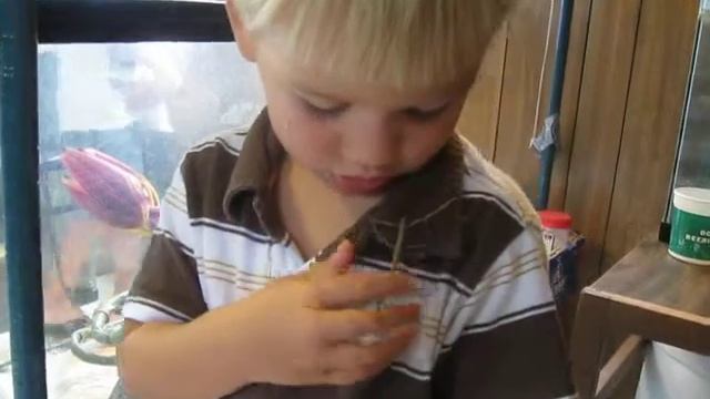 stick bug on my face смотреть онлайн