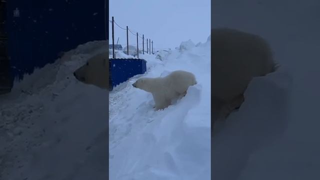 9 марта 2023 г. смотреть онлайн