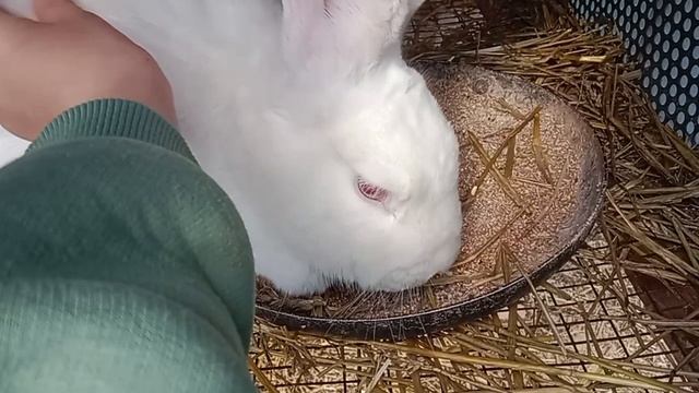 Утро Мики Тёмы и Лео💓🫠влог, у Тёмы убрали гипс😲