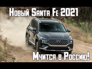 Новый Hyundai Santa Fe - идеальный семейный кроссовер