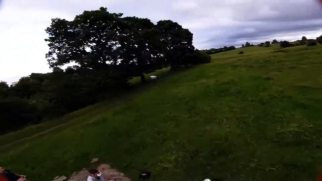 Thug pig playing with out with syma :D смотреть онлайн