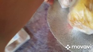 Всем привет, далой хандру!!)
Не могу долго отдыхать
Что купила