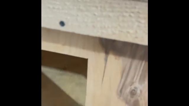 БРУДЕР ДЛЯ СУТОЧНЫХ ПЕРЕПЕЛОВ смотреть онлайн