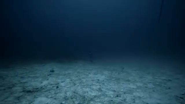 One Breath Around The World: Awesome Freediving, Wonderful Deep Sea World