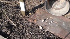 Тест петард 1 грамм 2(Explosive P20, K77, KP1000S, Banger P1000 FP1, K1000)