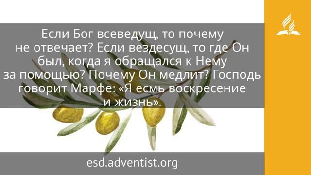 16 апреля 2025. Верую, Господи. Под сенью благодати Адвентисты смотреть онлайн