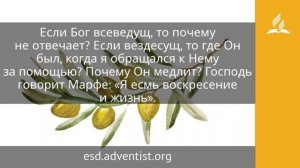 16 апреля 2025. Верую, Господи. Под сенью благодати  Адвентисты