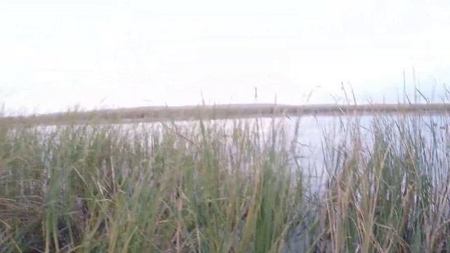 Охота на утку в конце сентября.