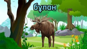 ОРМАН ЖАНУАРЛАРЫ! ЖАБАЙЫ ЖАНУАРЛАР! ЛЕСНЫЕ ЖИВОТНЫЕ НА КАЗАХСКОМ ЯЗЫКЕ!